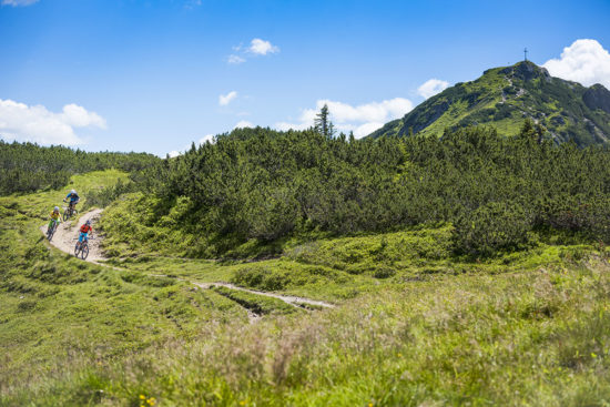 Mountainbiken im Sommerurlaub in Flachau, Salzburger Land
