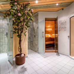 wellnessbereich-hotel-santa-barbara-flachau-5
